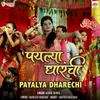 About Payalya Dharechi Song